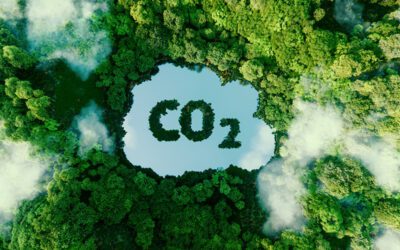 Carbon Intensity Strategy: A key to achieving sustainability goals