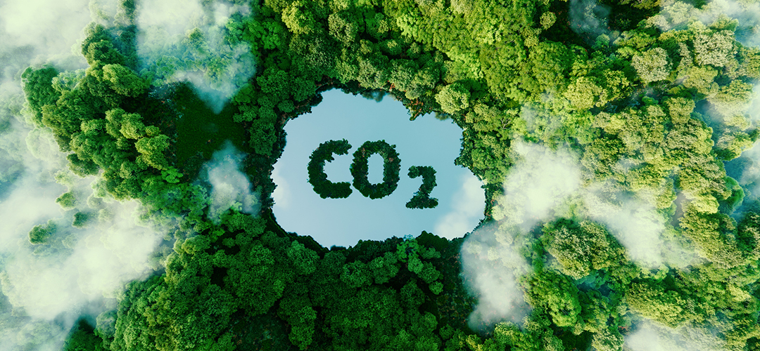 Carbon Intensity Strategy